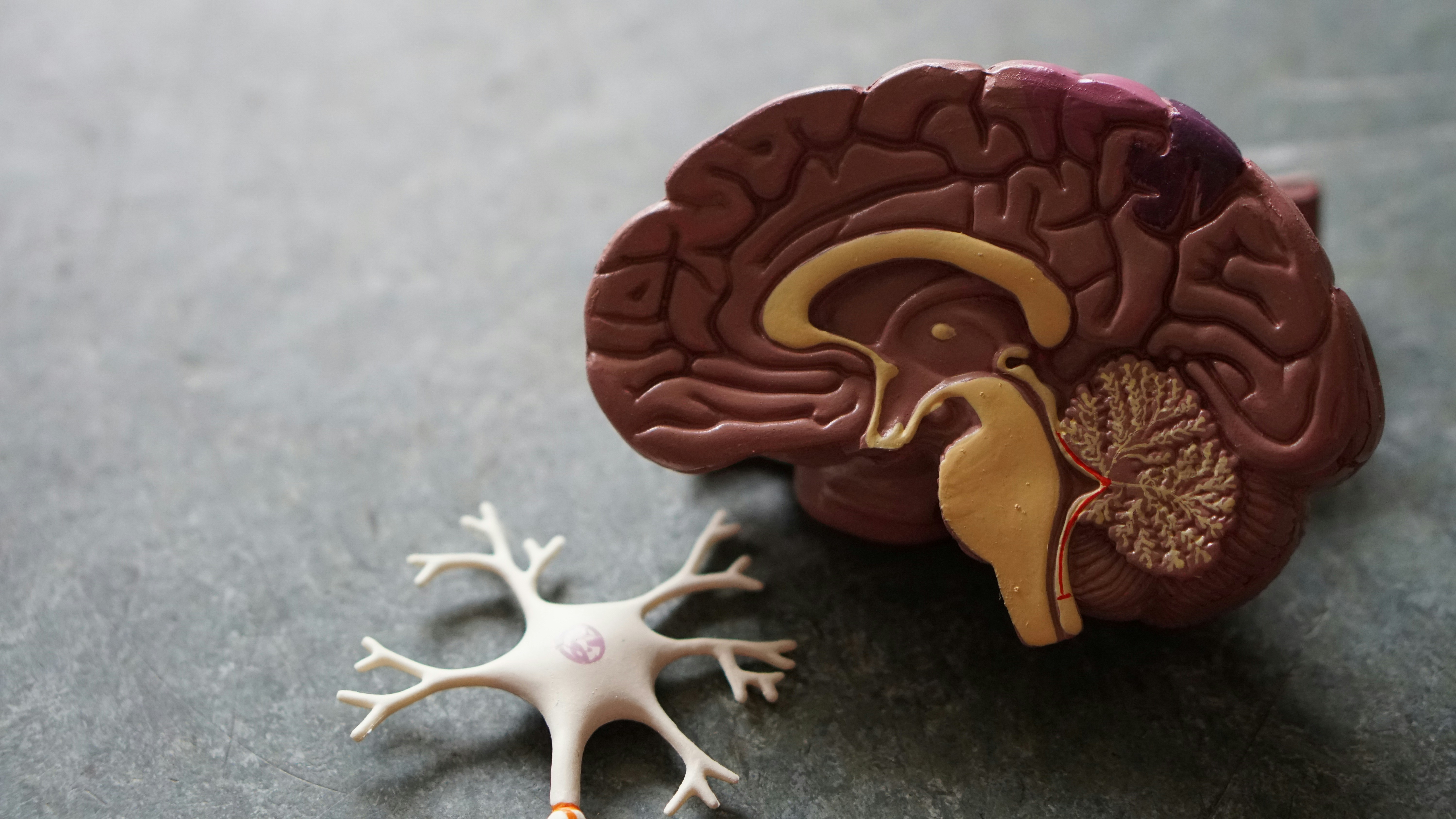Breakthrough Brain Signal Discovery Offers Hope for Hard-to-Treat Depression