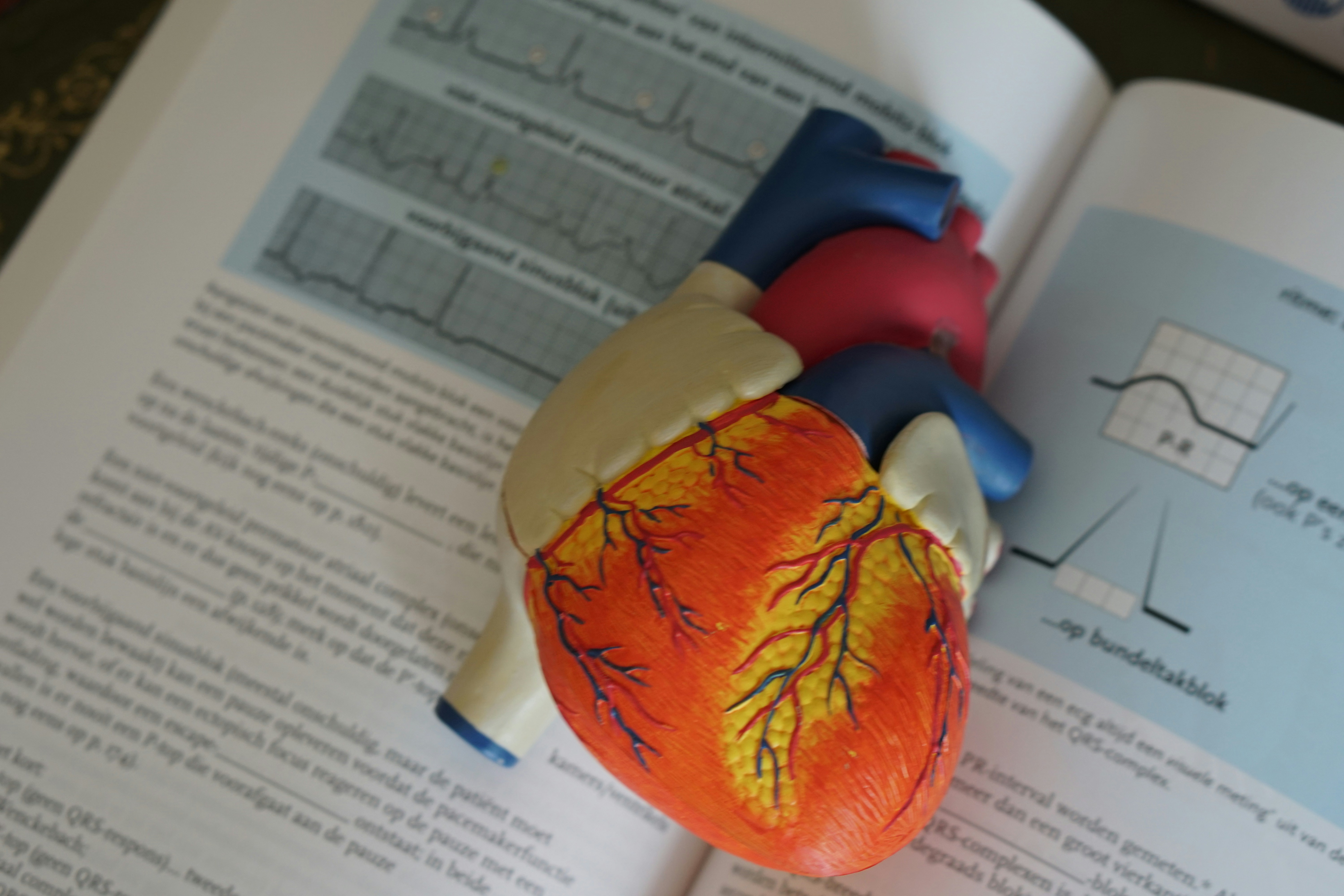 A Single Shot Could Control Cholesterol for Life
