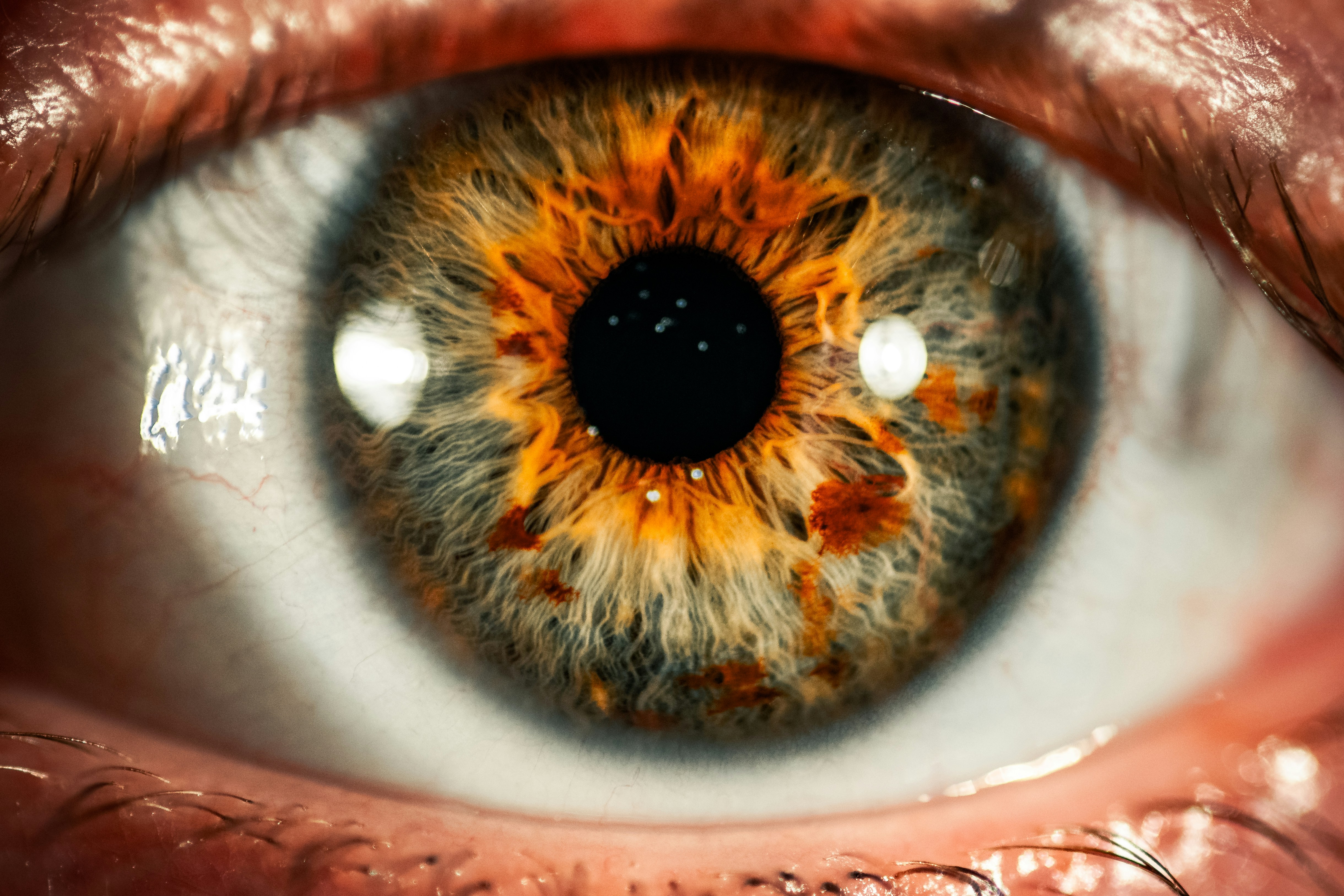 Can Ozempic or Wegovy Cause Vision Loss? What the Research Says